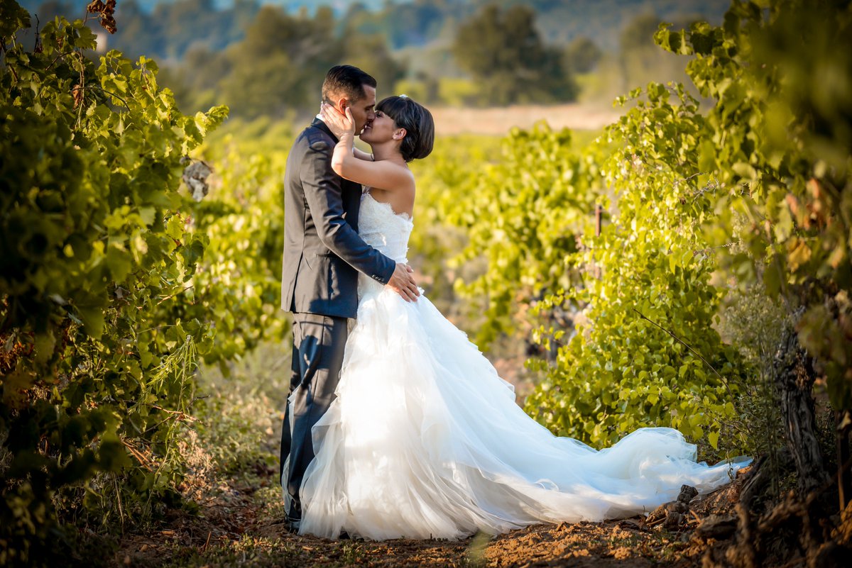 a2mainstenant's tweet photo. Nancy et Greg. Une cérémonie laïque émouvante. Un mariage en Provence au milieu des vignes, c'est par ici ! #A2MT
https://t.co/nZkW0aIOva https://t.co/YqnjrPMotQ