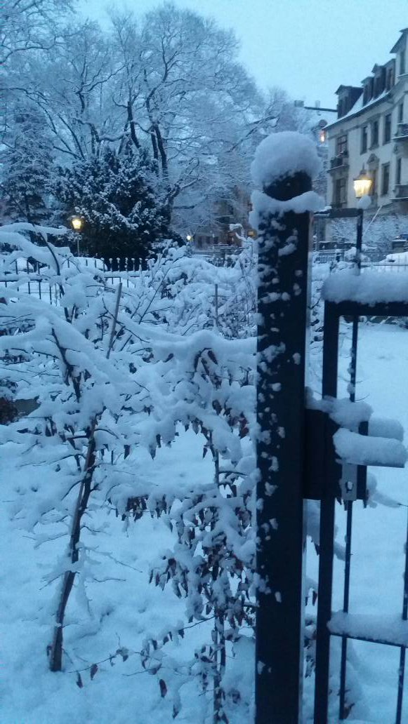 SuperWoman_SWDD's tweet photo. Bonito es un rato. Gélido tb. Ay, esa gente en las fronteras sin nada 😢 #16de365 #frioqpela #invierno #SWsocial https://t.co/dmfayQAd58