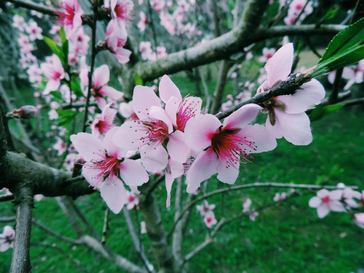 moonxglowx's tweet photo. you are so beautiful
and I just want 
you to know
that after all this time
you're still the one 🌸

~ #frantasticmonday | @ConnorFranta ~ https://t.co/pscoMVl0xC