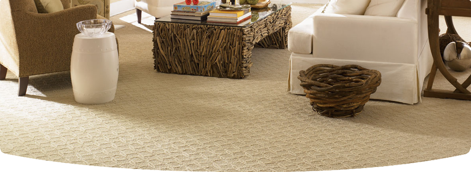 Sahay96Sahay's tweet photo. If You Are Running A Carpet Cleaning Business
Services You Must Include Service In Your #Carpet #Cleaning
#KleanHomz https://t.co/ezYBMR3hnS https://t.co/lQvqVdi8xw