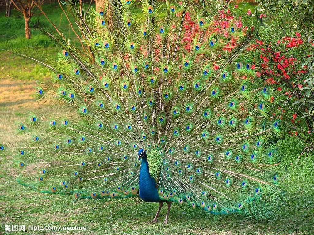 TFormia's tweet image. So Similar with the true creature~ Do you think so 😄