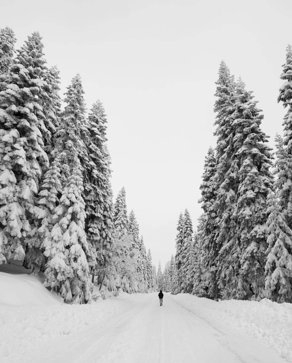 oussama's tweet photo. Difficult roads often lead to beautiful destinations.

 - Bonjour https://t.co/XYzpRbKAyY