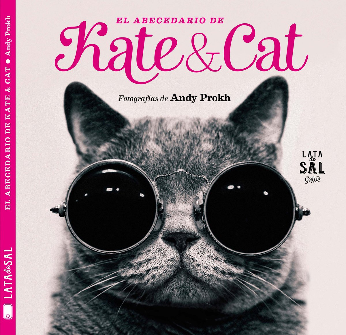 Abecedario y fotografía
Un buen libro
"El abecedario de Kate &amp; Cat" de #AndyProkh, editorial <a href="/latadesal/">LATADESAL EDITORIAL</a> 2015. +4
 infanmusic.com/salir/aprender…