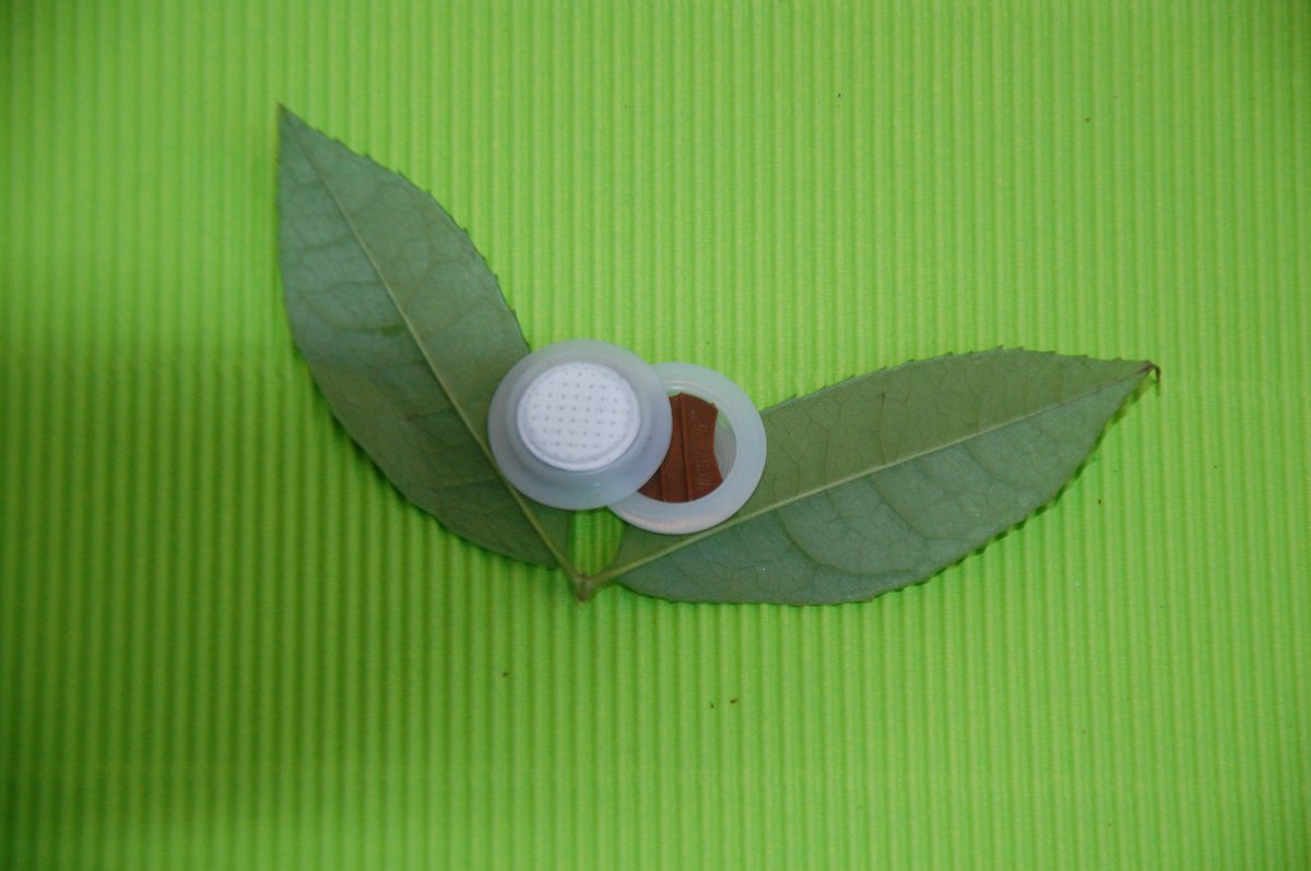coffeevalvecs's tweet photo. #coffeevalve #degassingvalve #onewaydegassingvalve #onewaycoffeevalve #airvalve #onewaygasvalve #PPvalve #valve
https://t.co/1gZv6jPzij https://t.co/vyFEeBSJfU
