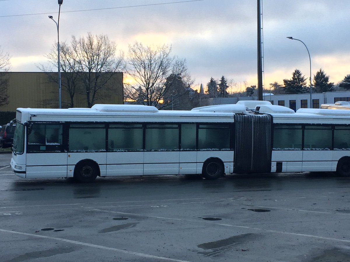 PROTOBUS tweet media