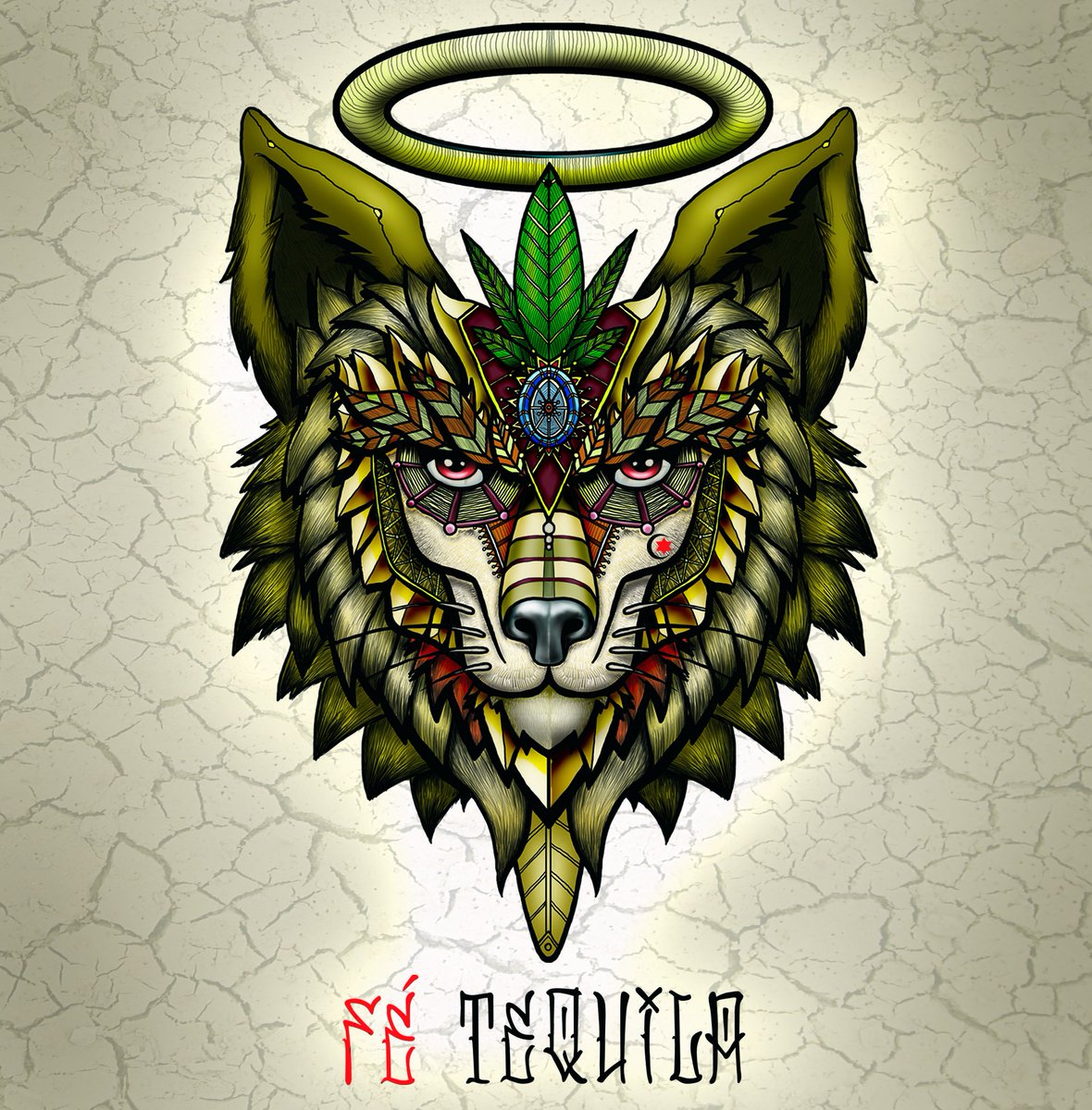 fe_tequila tweet picture