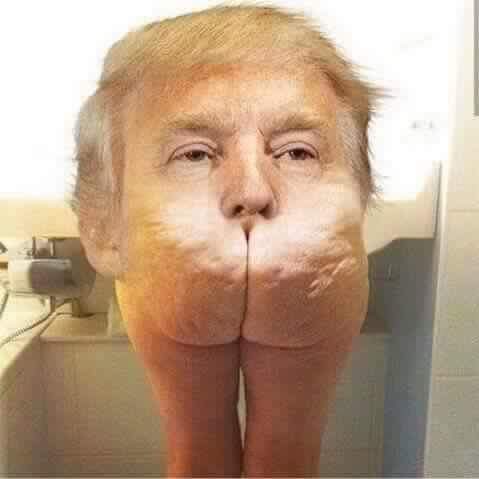 nuggetdl's tweet photo. @realdonalbtrump https://t.co/GP6sIsq8Gf