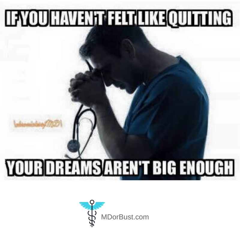 MDorBust tweet media