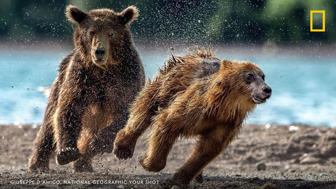 National Geographic tweet media