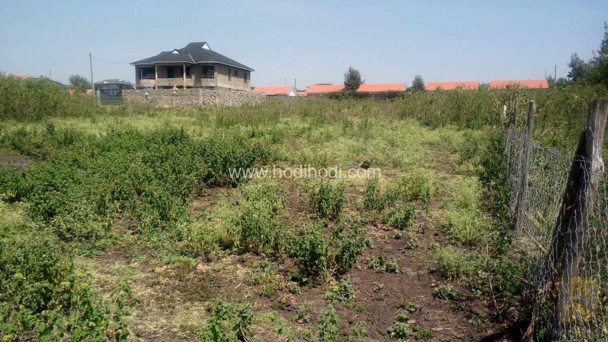 Hodihodilisting's tweet image. #plotforsale
An 1/8 Acre plot located behind Kiserian view estate in Kiserian is on sale.hodihodi.com/property/prime…
#ownaplot #investment