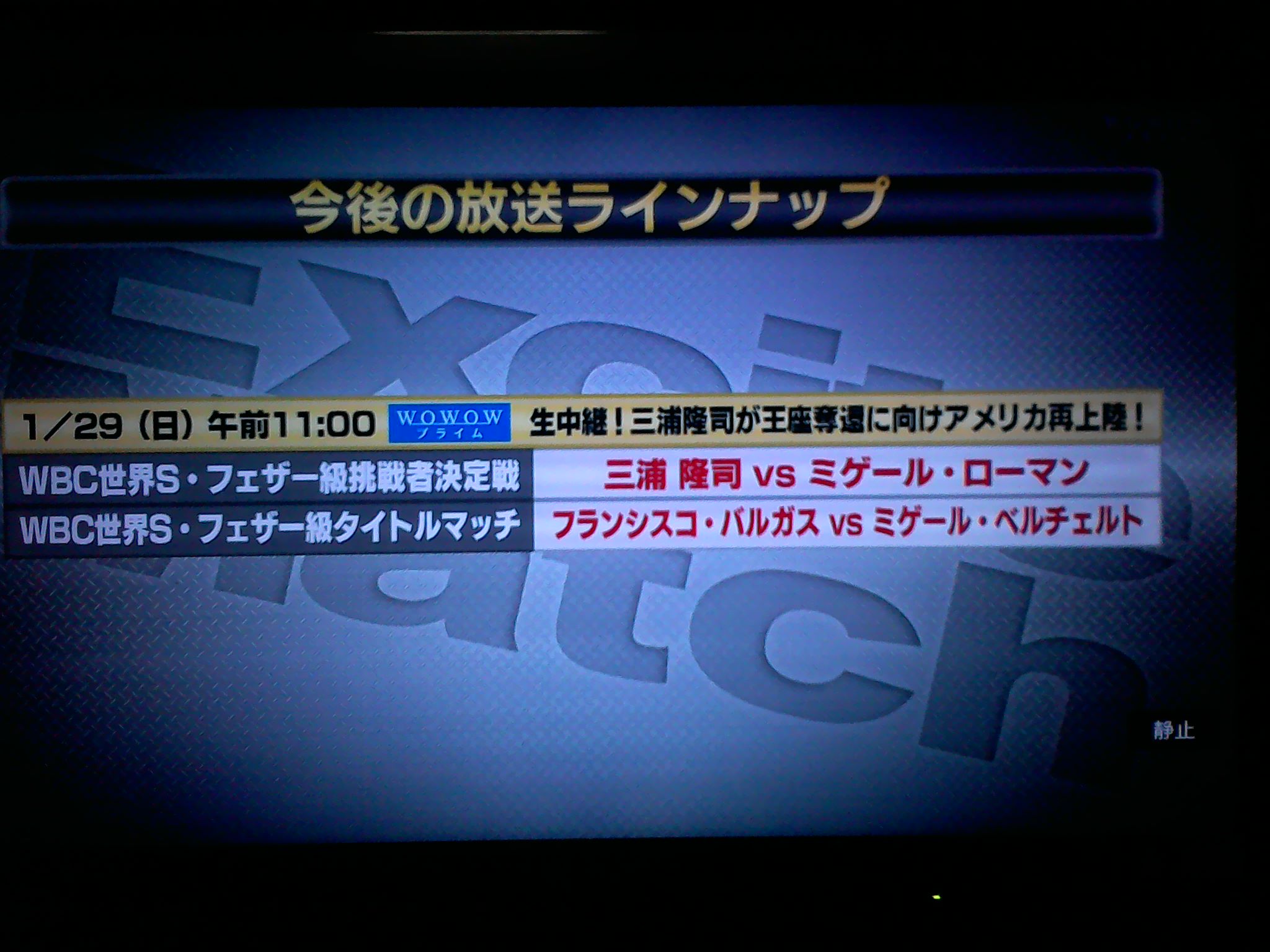 06jun10 Pa Twitter 1 29の11時から Live Wbc世界sフェザー級挑戦者決定戦 三浦隆司 Vs ミゲール ローマン Wbc世界sフェザー級タイトルマッチ フランシスコ バルガス Vs ミゲール ベルチェルト エキサイトマッチ Wowow Boxing T Co Zfublislqy 06jun10 Pa Twitter 1 29の11時から Live Wbc世界sフェザー級挑戦者決定戦 三浦隆司 Vs ミゲール ローマン Wbc世界sフェザー級タイトルマッチ フランシスコ バルガス Vs ミゲール ベルチェルト エキサイトマッチ Wowow Boxing T Co Zfublislqy