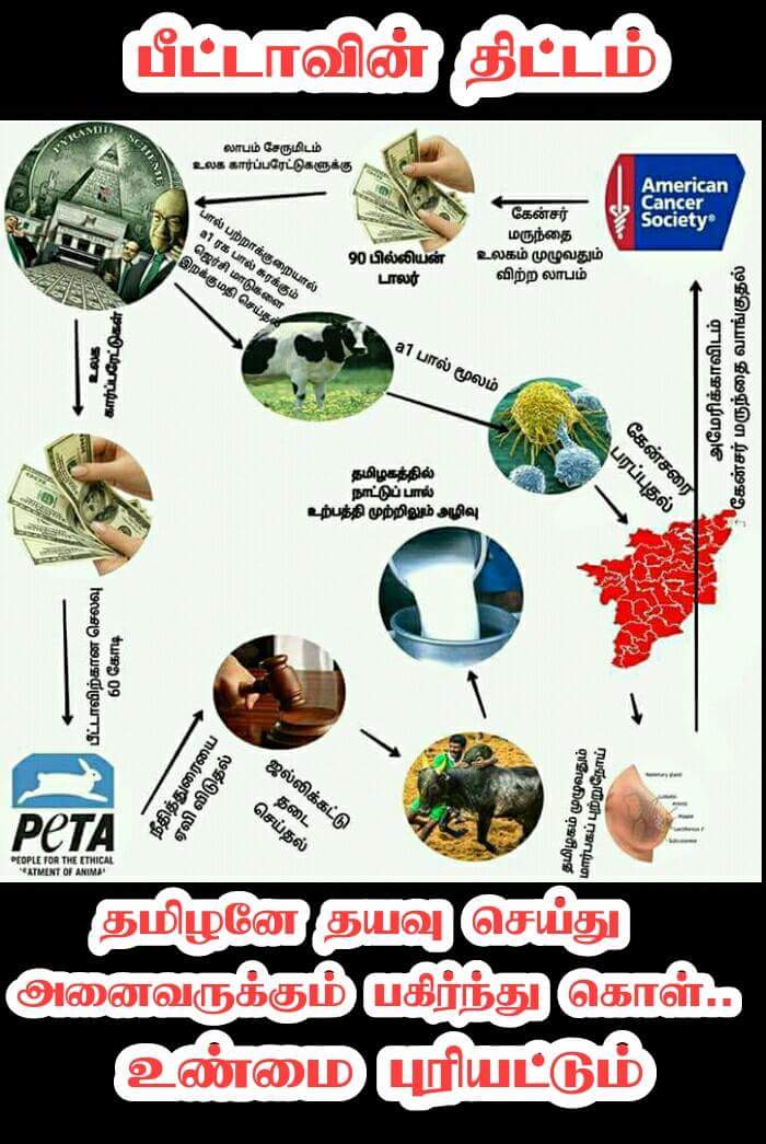 RMuthukumaraku1's tweet photo. பீட்டா கிட்டா பணத்��ை வாங்கிக்கிட்டு தடைபோட்ட நீதிமன்றமுமம் இந்திய அரசியல்வாதிகளும்தான் https://t.co/HtPDcQZXmP