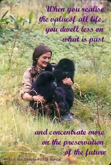 HAPPY BIRTHDAY 

Dian Fossey 1/16/1932 - 12/26/1985 