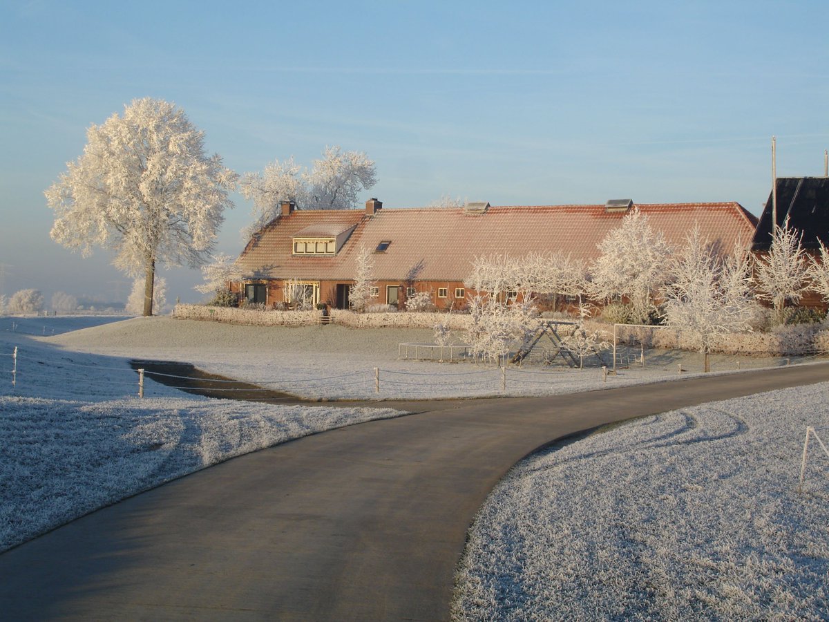 Yes! Aankomend weekend kun je winterweer combineren met een gave winterwandeling bij <a href="/erf_bruins/">ERF-1</a>. Opgeven is mogelijk via irene@erf1.nl!