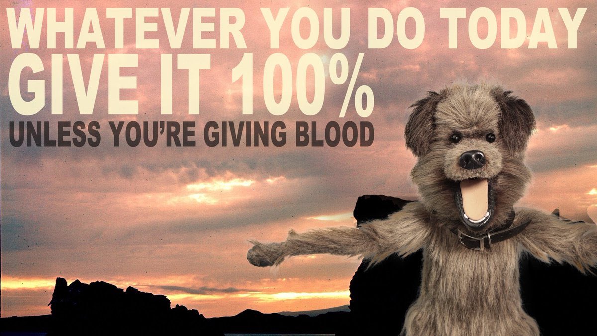 HackerTDog's tweet photo. Hopefully this will give you all a bit of joy to your #BlueMonday.... https://t.co/lXfzA7Zuym