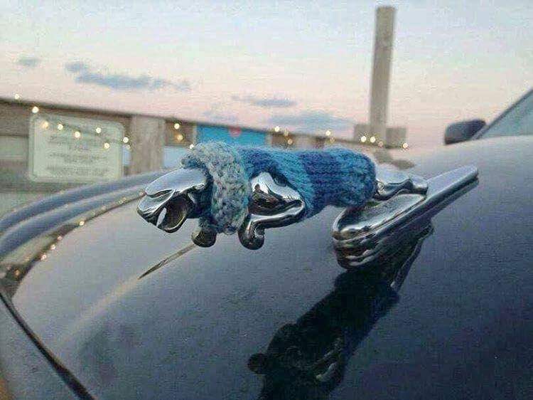 SupercarPics's tweet photo. The real winter has come and even this Jag emblem thinks it's cold. How is the winter at your place?  #Jaguar #Emblem #ColdWinter https://t.co/cu93SgHYle