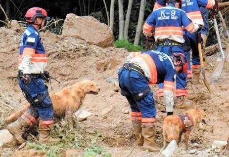 動物の気持ち Hq46vdl8tjgabis Twitter