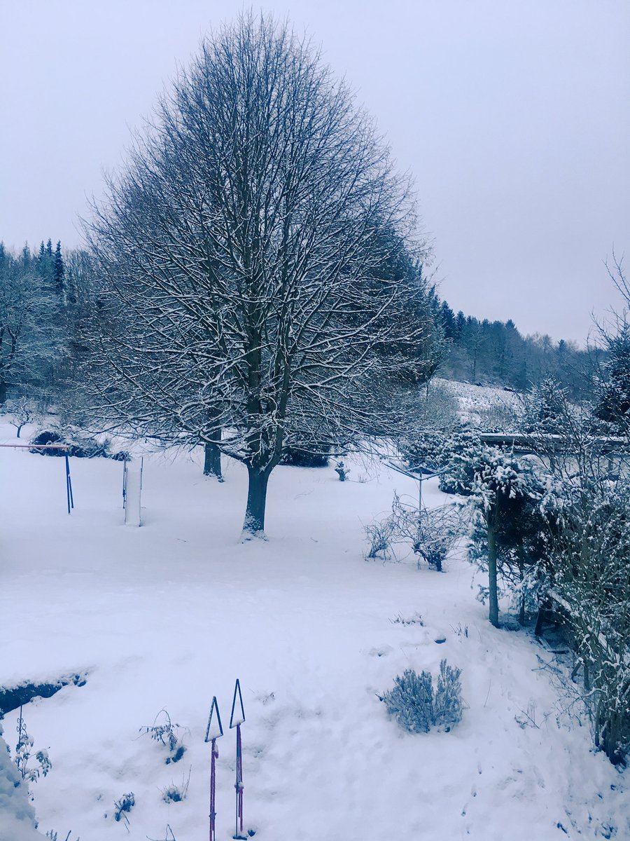 Und ausgerechnet wenn ich weg bin gibt's hier die volle #WinterWonderland Eskalation 😝

#Sauerland #Heimat
