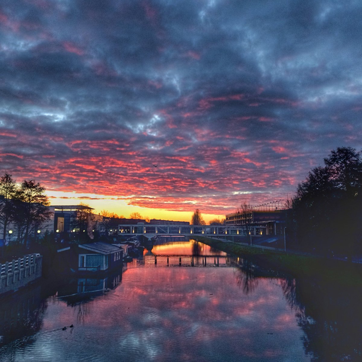 _basic_pixels's tweet photo. Good morning #CameraPixels #BasicPixels #Netherland #iphonephotography https://t.co/ZMtRTu9pww