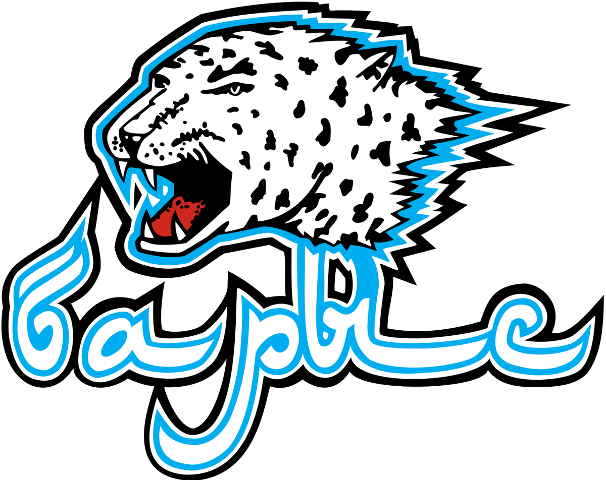 SaintsPronos's tweet photo. ⚜️ #IceHockey⚜️
🏒Barys Astana DNB🏒
Odds: 1.934
Stake : 5%
#SaintsPronos #KHL #BarysAstana #Salavat #Yulaev #Ufa #Hockey #bet #tipsÀ https://t.co/YQtVH6vhy4