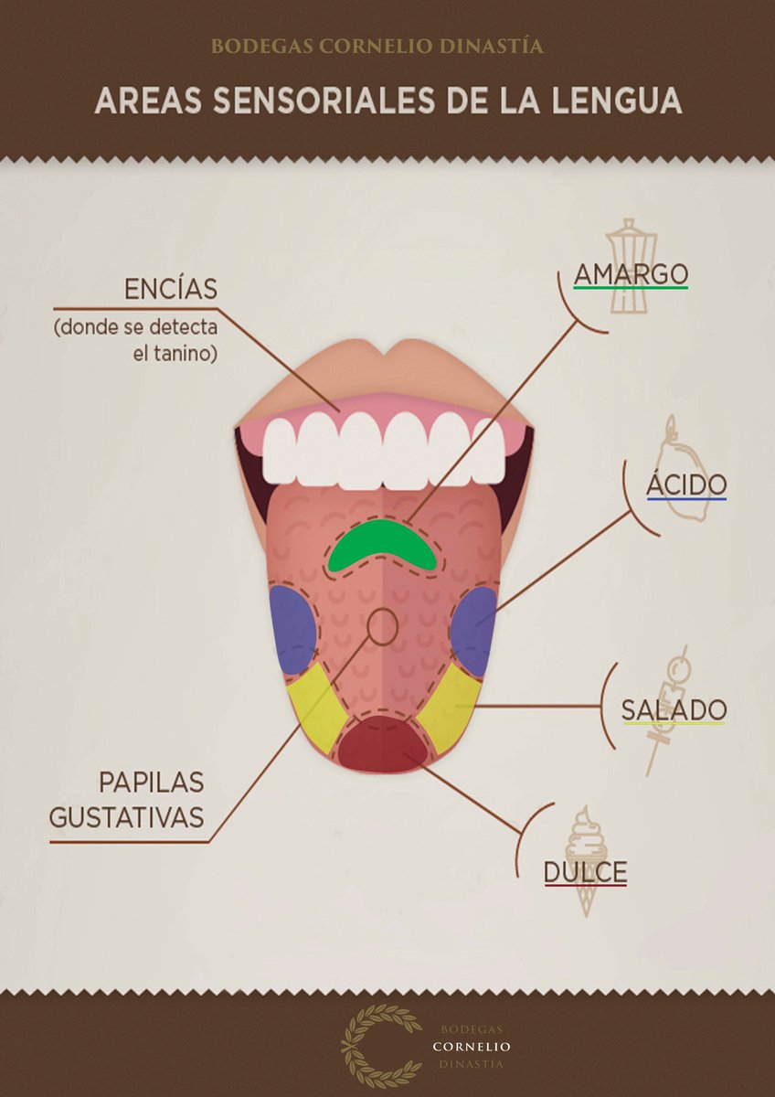 DinastiaCornelio tweet media