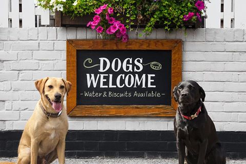 Having a nice stroll around #Bath or just walking your beautiful pet make a stop in our #DOGFRIENDLYPUB <a href="/thewestgatepub/">the WestGate</a>