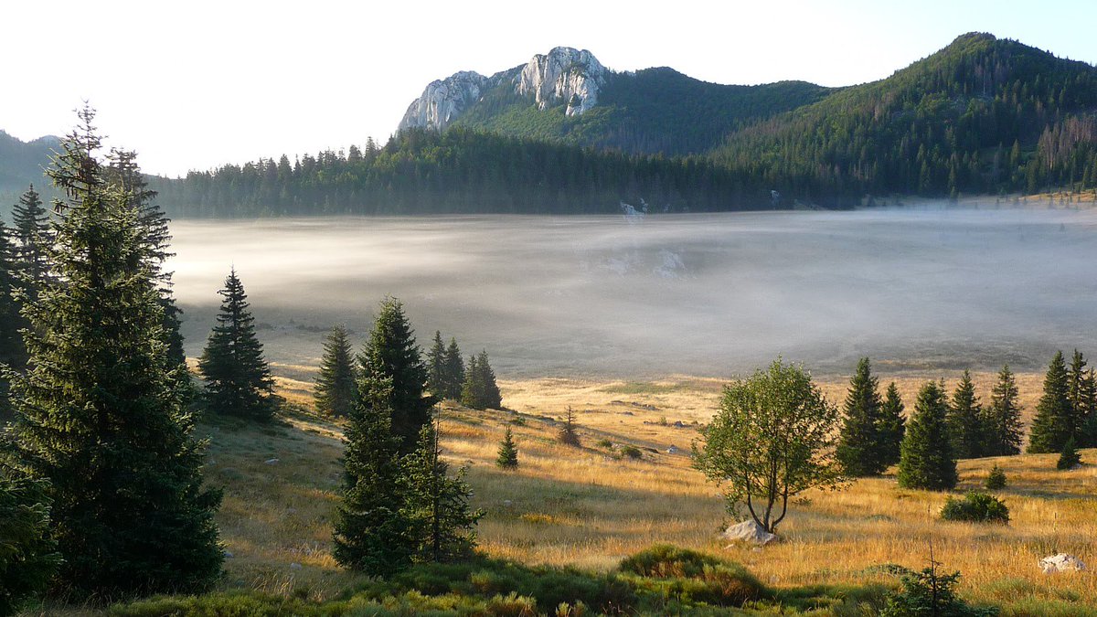 NatureCroatia's tweet photo. Misty morning, Velebit mountain, https://t.co/jZQHV6FAQh @velebittravel @HrvatskaGSS @SubasicDanijel @PARCShr https://t.co/BLLgGTQzWq