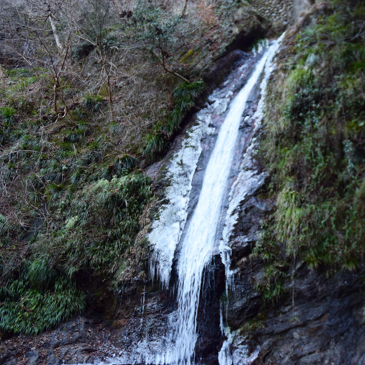 皆野町役場元産業観光課の新井arai 秩父華厳の滝 が凍結 部分的に凍ってました 滝壺のフチまで笑 身の軽いカメラマンは最強です 取れないところがない 身が軽くて良かった D 秩父 皆野町 日野沢 秩父華厳の滝 滝 凍結 ツルツル 油断