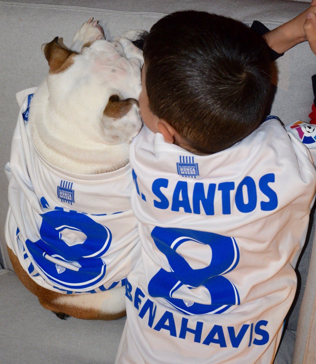 Paulasosaaa's tweet photo. 🐶💙⚪️👦🏻 @pelosantos10 https://t.co/S3QbWYr3hd