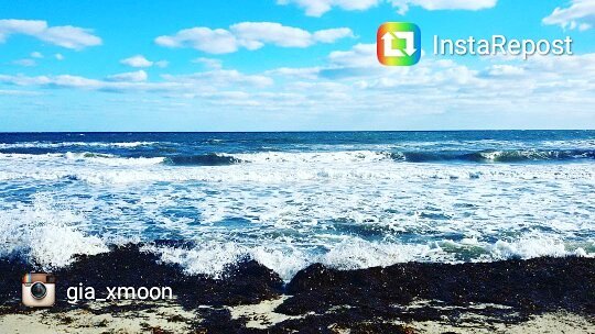 budoniwelcome's tweet photo. Tutta la potenza del #mare d'inverno in questo scatto di @gia_xmoon (perché diciamocelo, fa freddino anche qui)
#Budoni #Sardegna #inverno https://t.co/iHJCwXKAxT