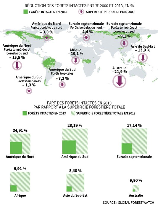 Le monde des forêts sauvages recule rapidement lemonde.fr/planete/articl… #forel #biodiversite #disparition #ecosysteme