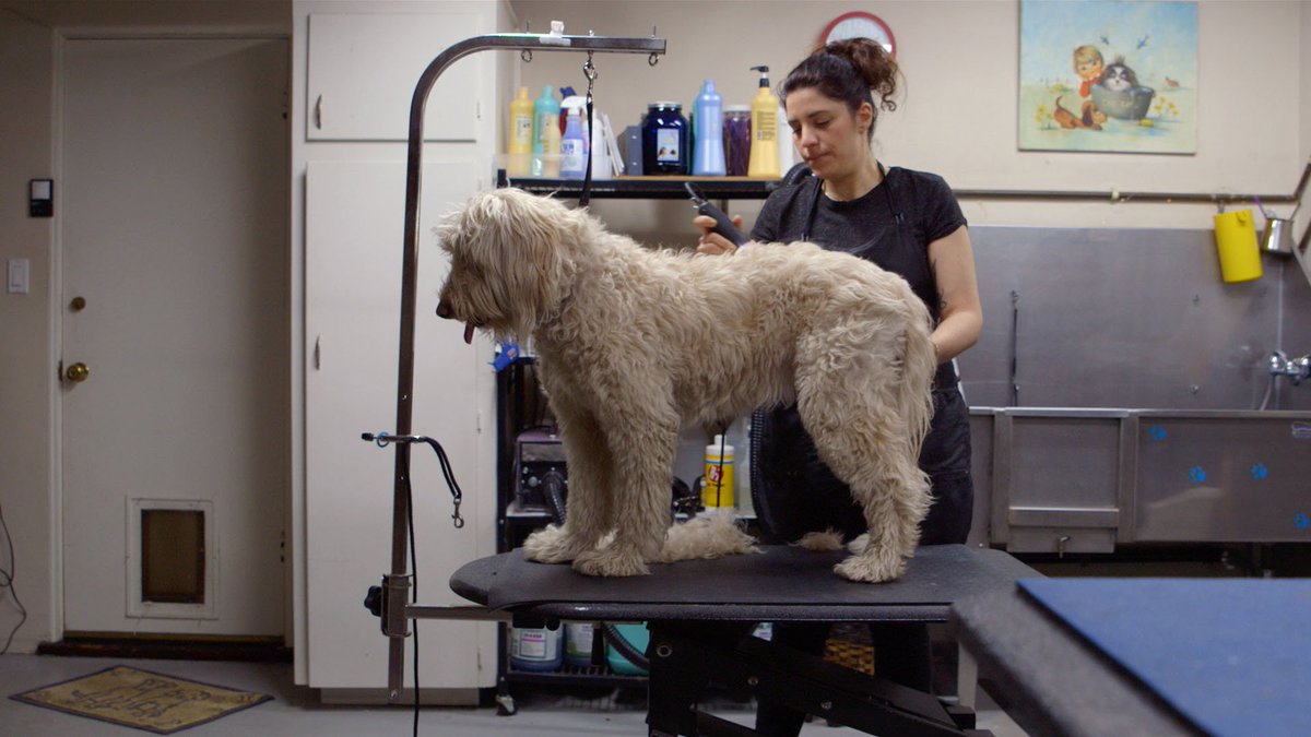 How She Works: Dog Groomer