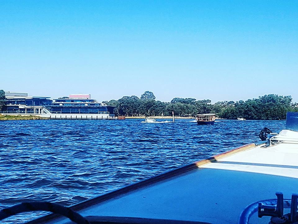littleferryco's tweet photo. Just a couple of Little Ferry's exploring our big city on a beautiful Monday
#happymonday https://t.co/HcTWQxVLfK