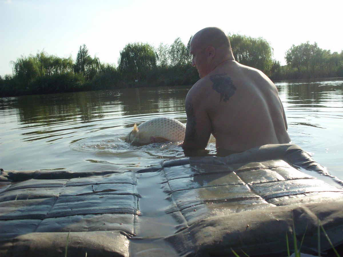 Carp_Master_1's tweet photo. #CarpMaster #KDRig #ACF #CarpFishing #LovelyTimes #oncarp #danglersnation @AdvancedCarpMag https://t.co/8phmJBuudX