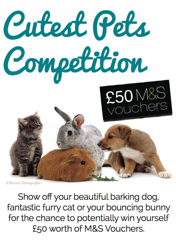 falconproperty's tweet photo. *Competition Alert* Could your cute pet win you a £50 M&amp;S voucher? Head to our fb page to enter! https://t.co/DcM0afYlgz #Plymouth #Property https://t.co/oJ0gKvHVxZ