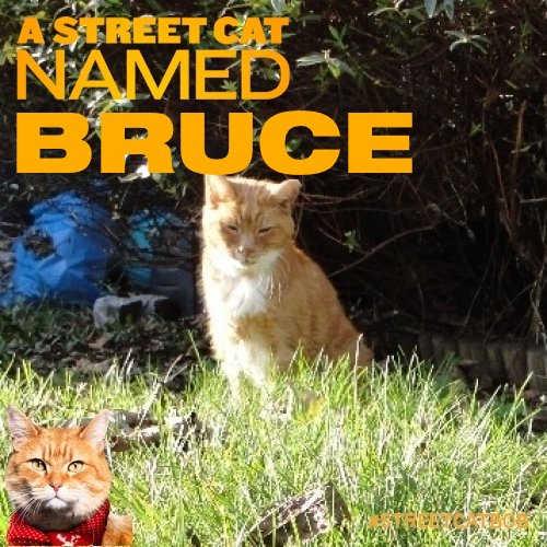 Johnny_coolcat's tweet photo. @ShaggyCoe FINALLY got around to it!
#streetcatbobyourself.com https://t.co/7crwVaIGuT
