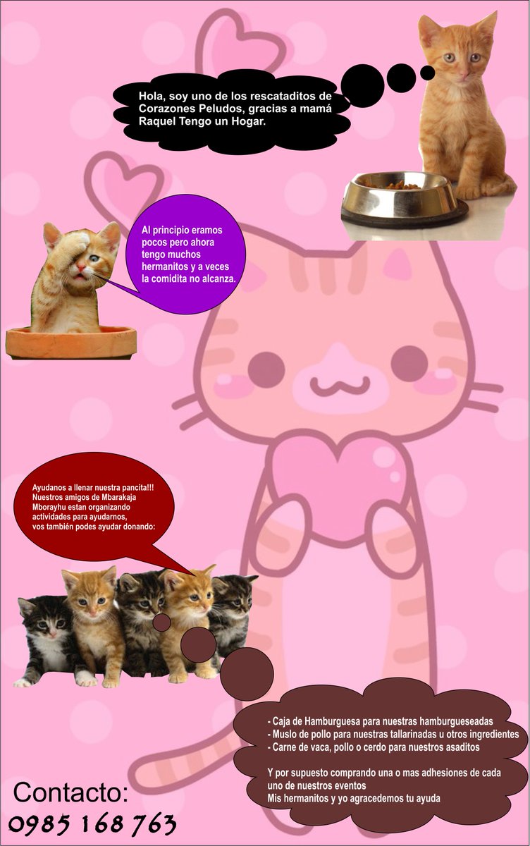 Mbarakaja_Mborayhu (@mbarakaja_py) on Twitter photo 