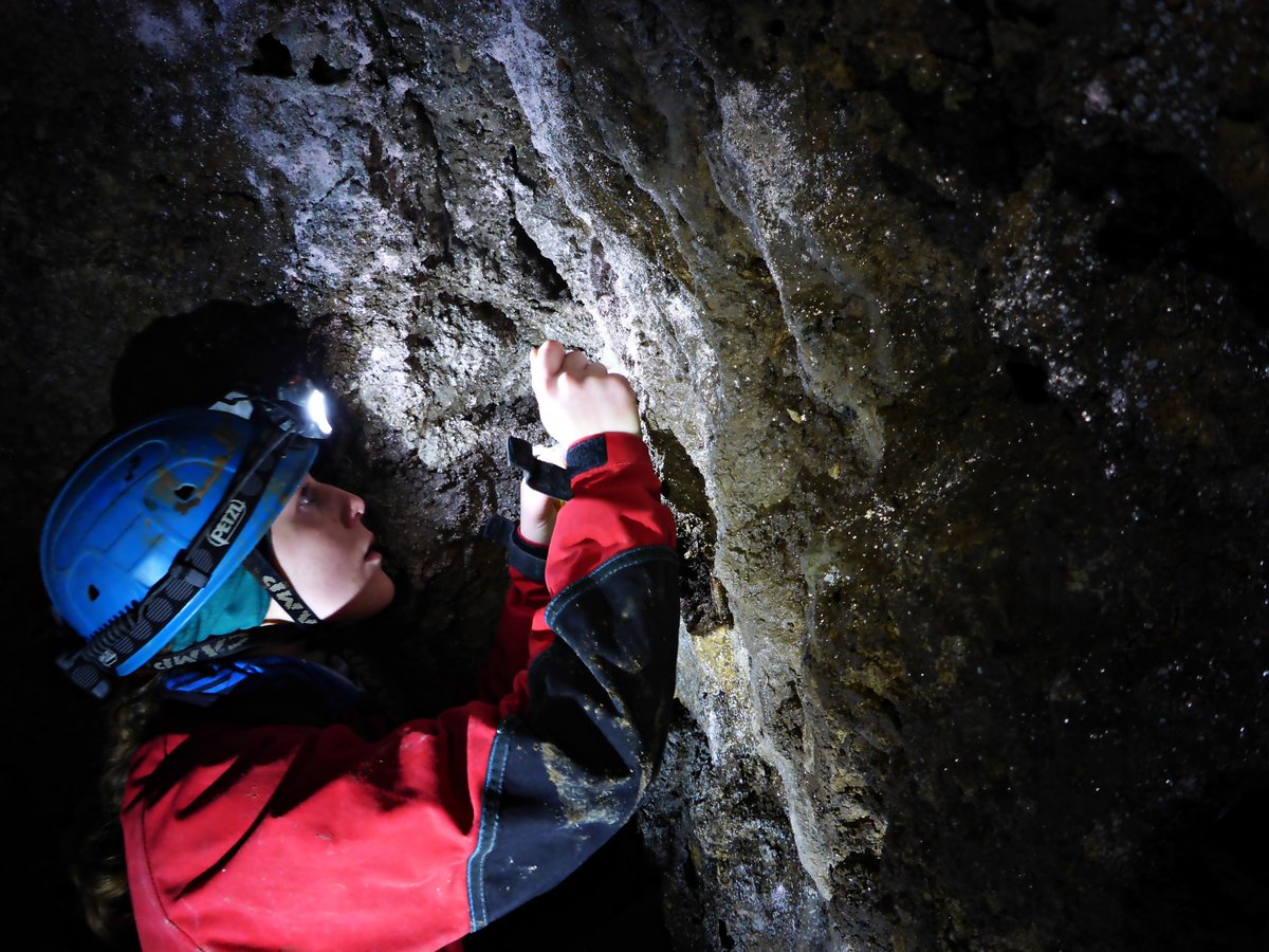CaveMicroSurvey tweet picture