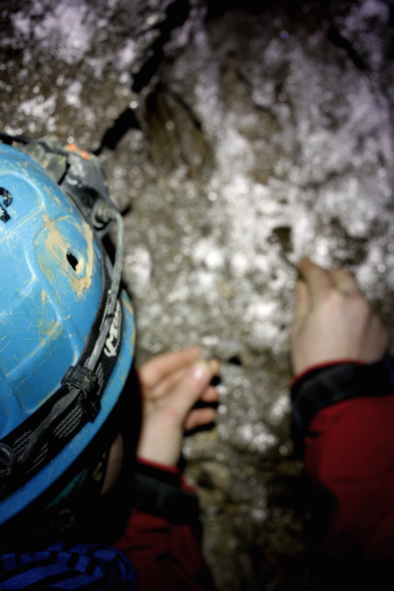 Microbiological sampling - Cave Microbial Survey✨ #caves #cavemicrobialsurvey #microbiologicalsampling #samplingincave