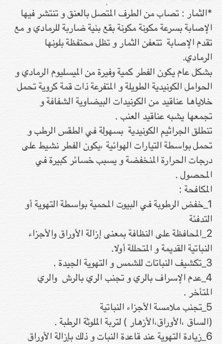 2Aa2020's tweet photo. #العفن الرمادي والمكافحة #البيولوجية لهذا العفن ؟#الزراعة #المحاصيل #Whetzel #الثمار ##معلومة_زراعية #Biology https://t.co/WEKpkIQgpr