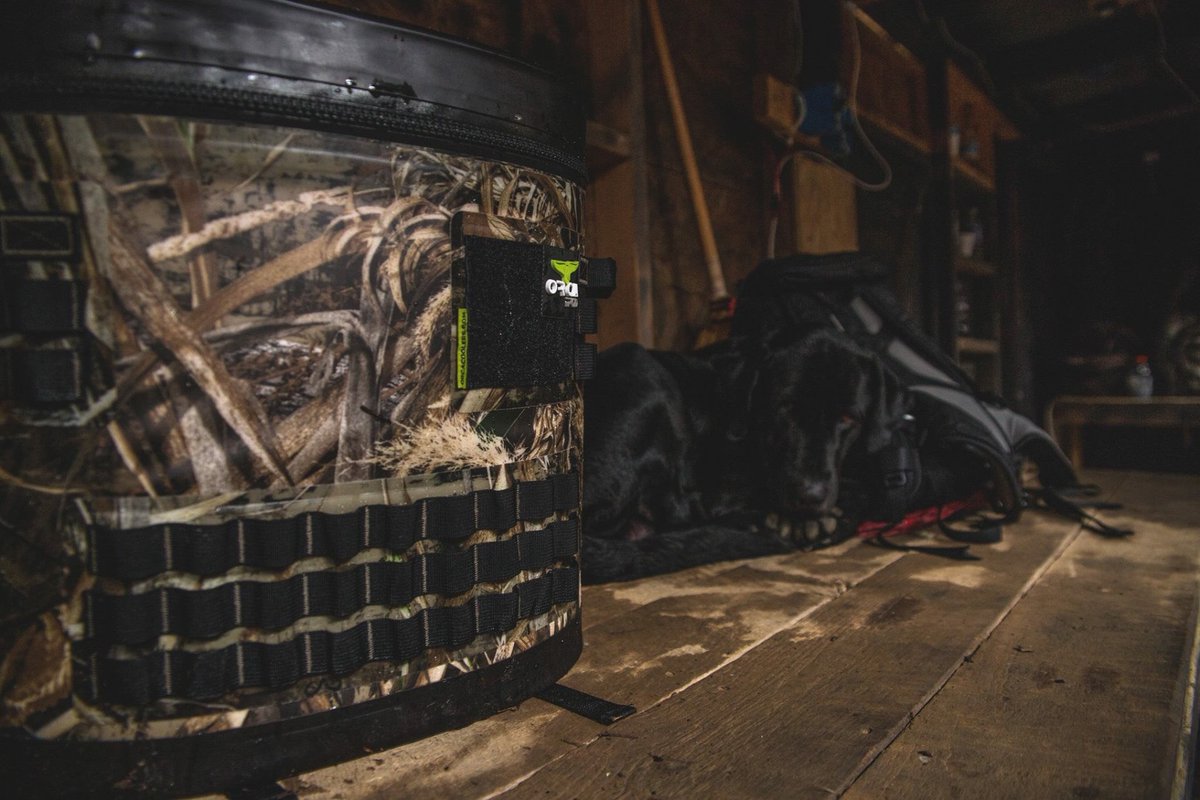 orcacoolers's tweet photo. You ever have such a good weekend, you need a Monday to recover from it?? @Realtree POD
https://t.co/UlpEoCrDHc
#orcapod #dogsoforca https://t.co/GSVjXKrdGl