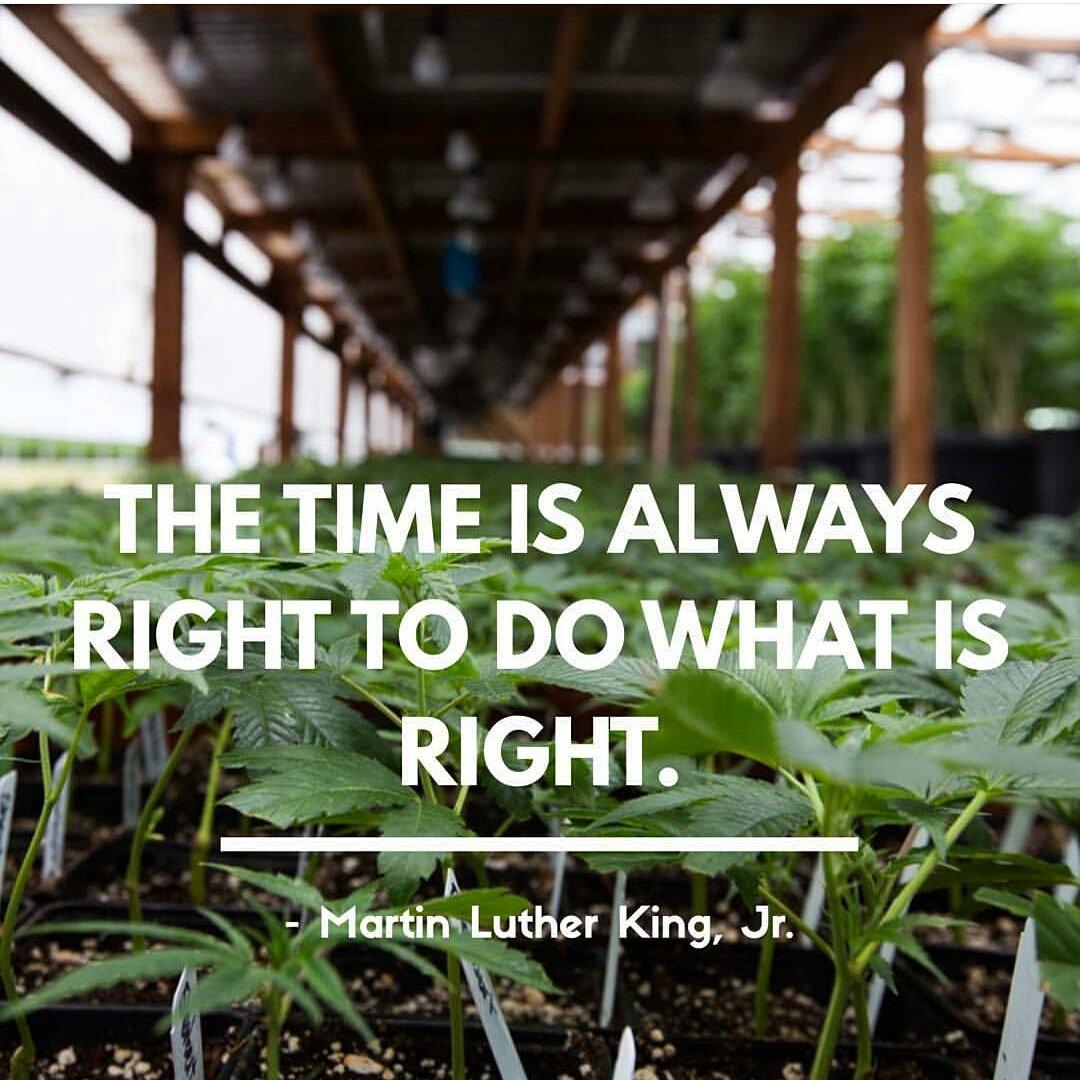 teamalpine916's tweet photo. REPOST! @AbsoluteXtracts "The Time Is Always Right To Do What Is Right." Happy Martin Luther King, Jr Day! We Are Open Regular Hours! #MLK https://t.co/XCVLpECdT0