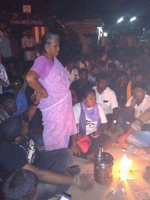 joinwitraj's tweet photo. #justiceforjallikattu Till protesting for #Jallikattu at #Alanganallur #joinwitraj @chennaivision @Jallikatu https://t.co/QJNP73FLmA