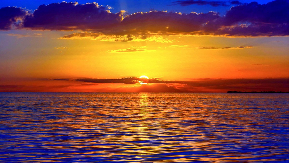 Prayers going out to the people and families who were affected in the shooting at <a href="/TheBPMFestival/">The BPM Festival</a>