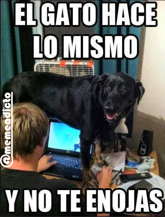 memeadicto69's tweet photo. Jajajaja k#memeadicto #memes #risas #jaja #humor #like #lol #gato #perro #teclado #computadora https://t.co/bvNJE1fqJE