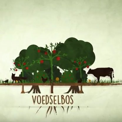 Bekijk de mini-docu over #voedselbossen en #natuurlijkelandbouw die we samen met <a href="/akkernaarbos/">Van Akker naar Bos</a> gemaakt hebben: parklingezegen.nl/mini-documenta…