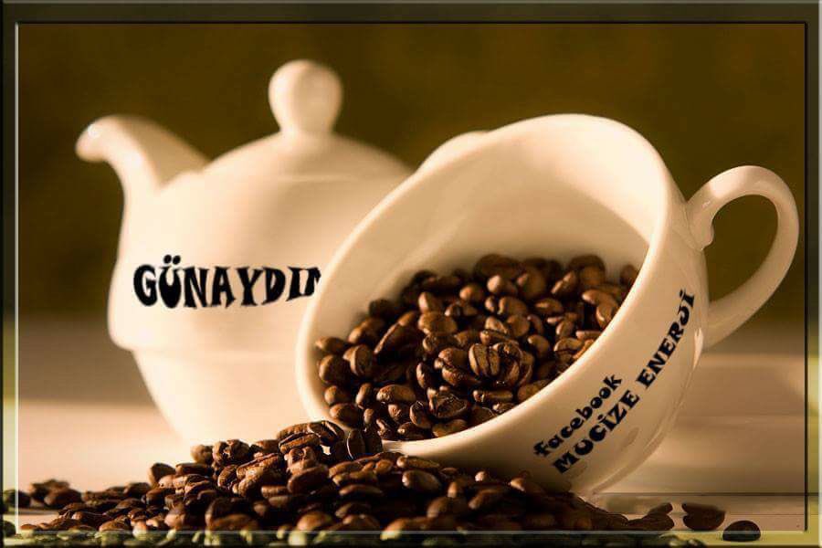 Aysen (@aysen41851174) on Twitter photo 