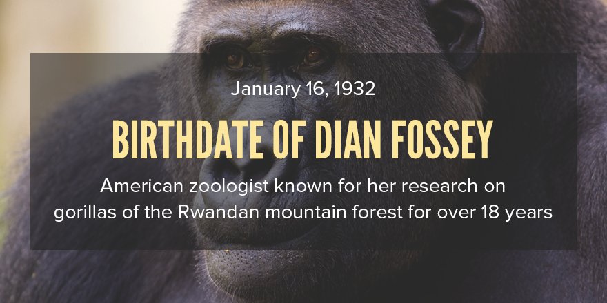 Thermosci \"Happy Birthday Dian Fossey!  