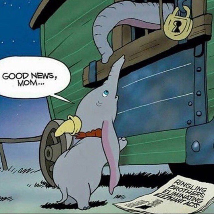 Paulowild_'s tweet photo. ¡Buenas noticias!
Ringling Bros. cierra sus puertas para siempre. Terminemos con las tradiciones que matan. https://t.co/zZQ9Hf6Njf