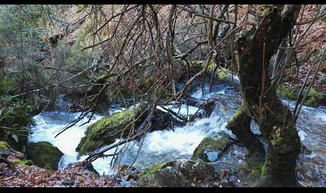 danibailapogo's tweet photo. 🍃🍁 https://t.co/1NZgiqPNhA